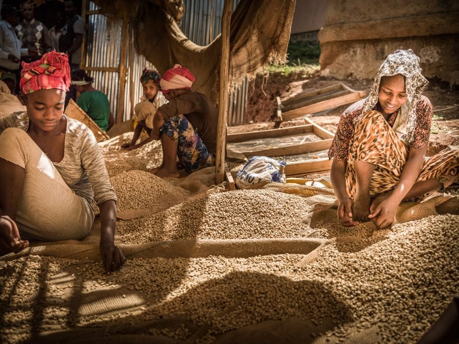 Transporting coffee near Awassa, Ethiopia