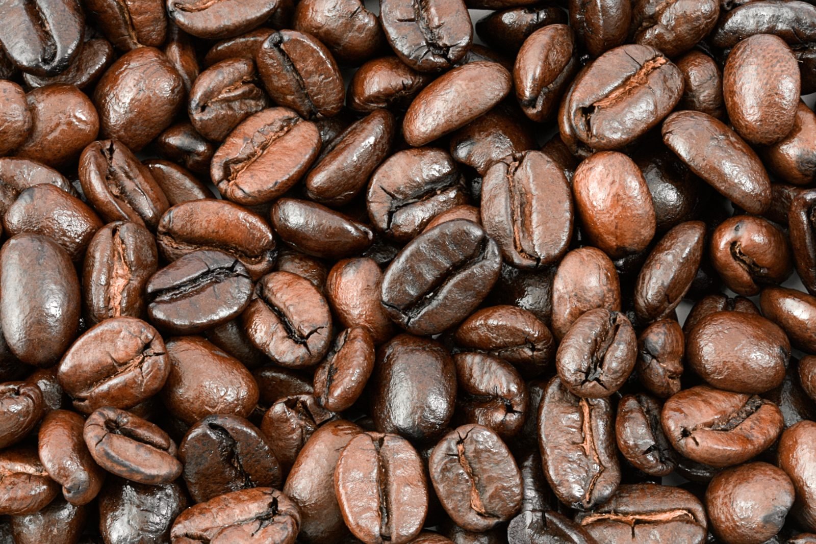 The French Press Coffee Roasters Yirgacheffe